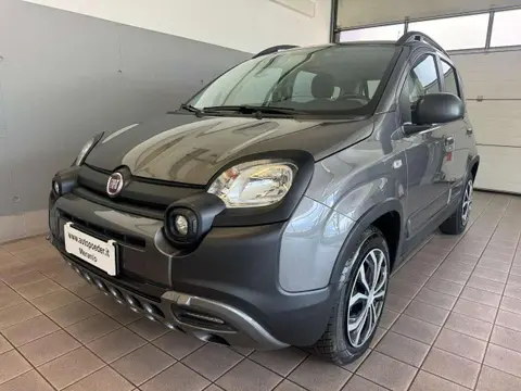 Annonce FIAT PANDA Essence 2019 d'occasion 