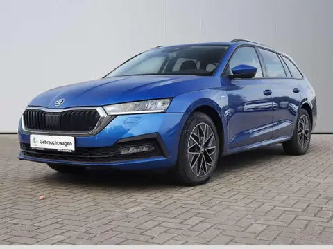 Used SKODA OCTAVIA Diesel 2022 Ad 