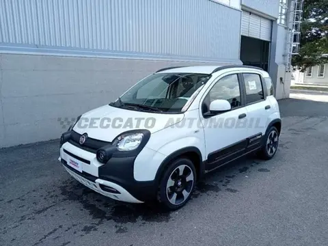 Used FIAT PANDA Hybrid 2024 Ad 