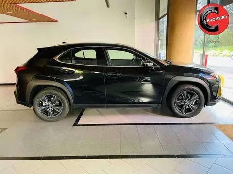 Used LEXUS UX Hybrid 2024 Ad 