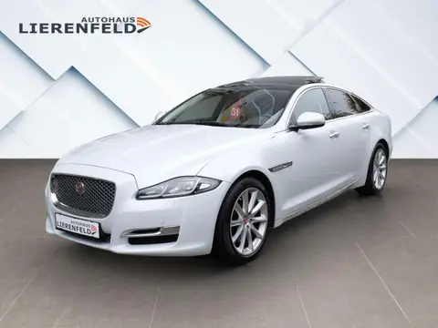 Annonce JAGUAR XJ Diesel 2016 d'occasion 