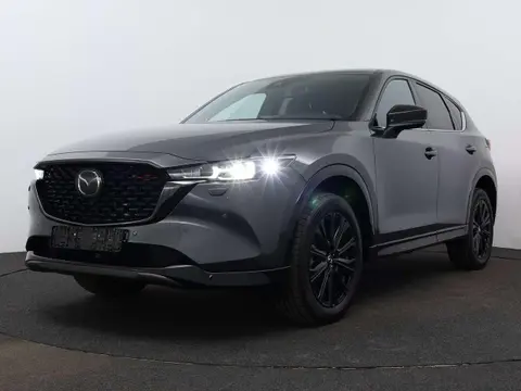 Annonce MAZDA CX-5 Essence 2024 d'occasion 