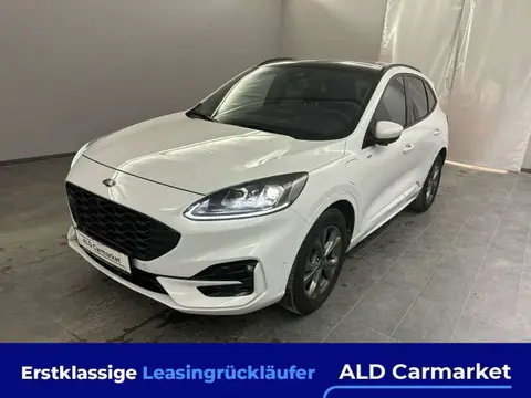 Used FORD KUGA Hybrid 2020 Ad 