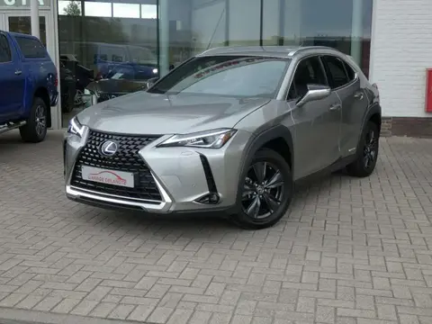 Used LEXUS UX Hybrid 2022 Ad Belgium