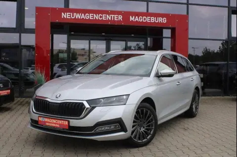 Annonce SKODA OCTAVIA Diesel 2022 d'occasion 