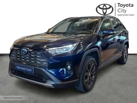 Used TOYOTA RAV4 Hybrid 2023 Ad 