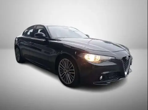 Used ALFA ROMEO GIULIA Diesel 2017 Ad 