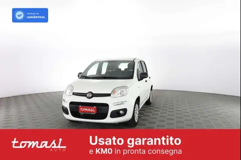 Used FIAT PANDA Petrol 2020 Ad 