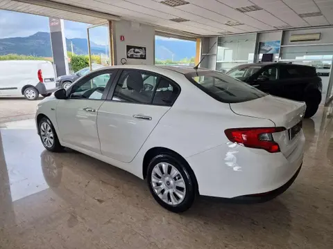 Used FIAT TIPO Diesel 2019 Ad 