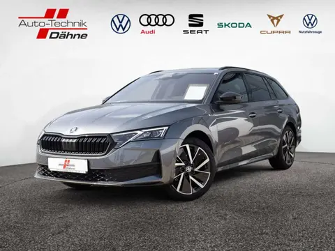 Annonce SKODA OCTAVIA Essence 2024 d'occasion 