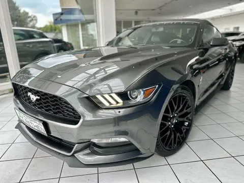 Annonce FORD MUSTANG Essence 2015 d'occasion 