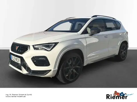 Used CUPRA ATECA Petrol 2024 Ad 