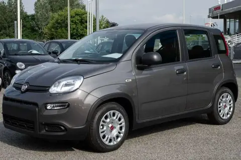 Annonce FIAT PANDA Hybride 2023 d'occasion 