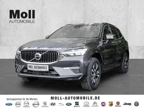 Used VOLVO XC60 Diesel 2022 Ad 