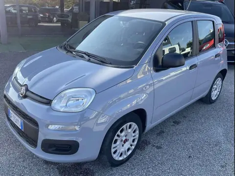 Used FIAT PANDA Hybrid 2021 Ad 