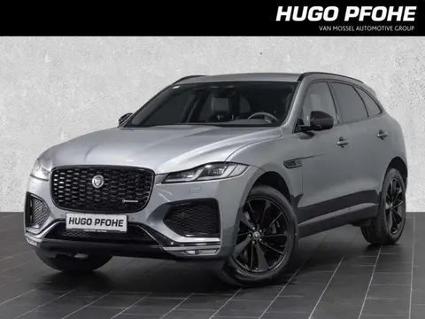 Used JAGUAR F-PACE Diesel 2023 Ad 