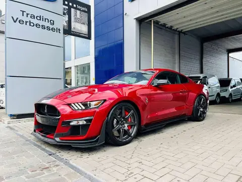 Annonce FORD MUSTANG Essence 2021 d'occasion 