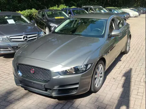 Used JAGUAR XE Petrol 2019 Ad 