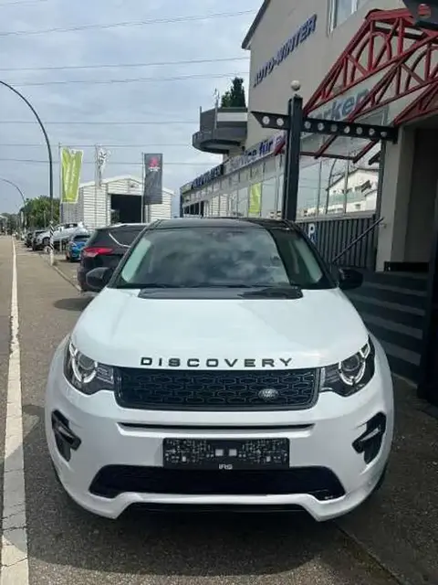 Used LAND ROVER DISCOVERY Diesel 2017 Ad 