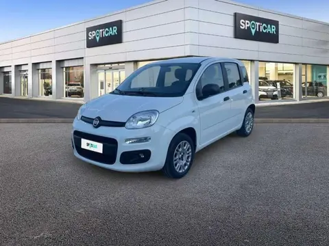 Used FIAT PANDA Petrol 2019 Ad 