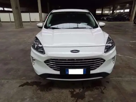 Used FORD KUGA Hybrid 2023 Ad 