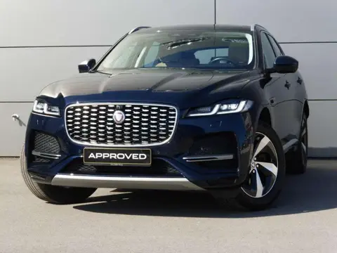 Used JAGUAR F-PACE Diesel 2021 Ad 