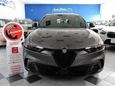 Annonce ALFA ROMEO TONALE Diesel 2023 d'occasion 