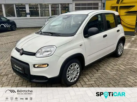 Annonce FIAT PANDA Essence 2024 d'occasion 