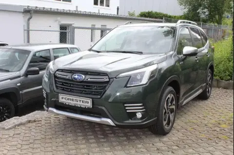 Annonce SUBARU FORESTER Essence 2024 d'occasion 