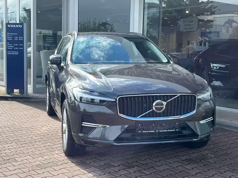 Used VOLVO XC60 Petrol 2023 Ad 