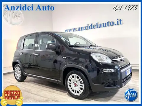 Annonce FIAT PANDA Hybride 2024 d'occasion 