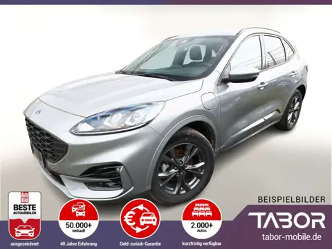 Annonce FORD KUGA Hybride 2023 d'occasion 