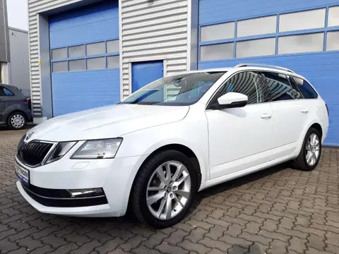 Annonce SKODA OCTAVIA Diesel 2019 d'occasion 