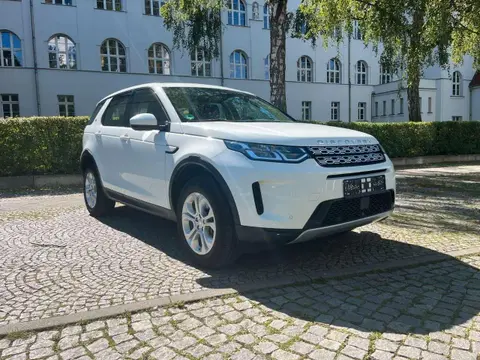 Used LAND ROVER DISCOVERY Hybrid 2021 Ad 