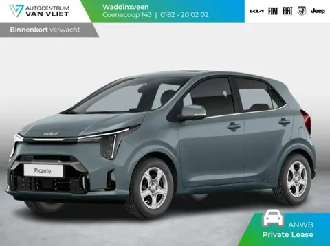 Annonce KIA PICANTO Essence 2024 d'occasion 