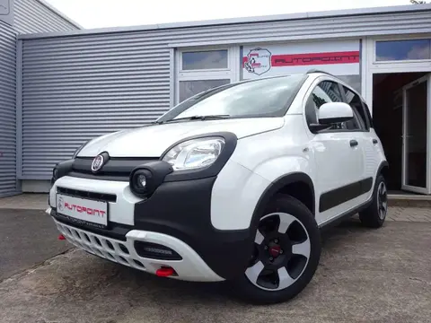 Used FIAT PANDA Petrol 2024 Ad 