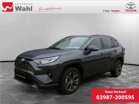 Used TOYOTA RAV4 Hybrid 2024 Ad 