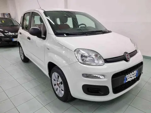 Used FIAT PANDA Petrol 2018 Ad 