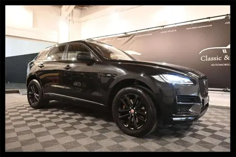 Used JAGUAR F-PACE Petrol 2017 Ad 