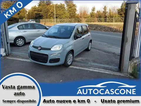 Used FIAT PANDA Hybrid 2024 Ad 