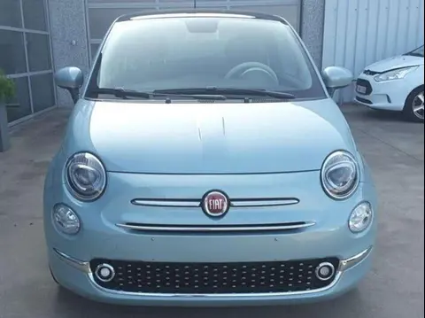 Used FIAT 500 Petrol 2023 Ad 