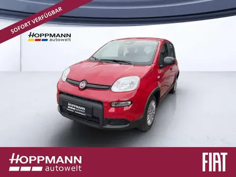 Annonce FIAT PANDA Essence 2024 d'occasion 