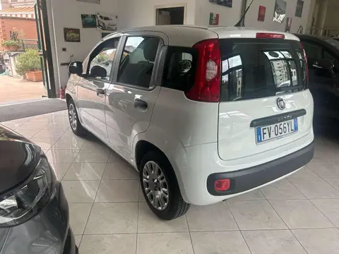 Annonce FIAT PANDA Essence 2019 d'occasion 