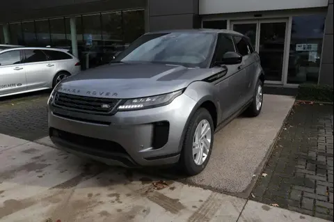 Used LAND ROVER RANGE ROVER EVOQUE Hybrid 2024 Ad 