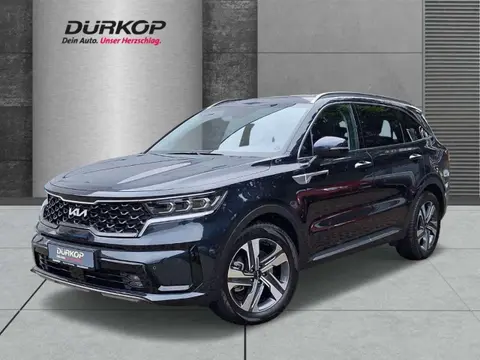 Annonce KIA SORENTO Diesel 2023 d'occasion 