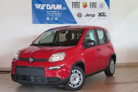 Used FIAT PANDA Petrol 2024 Ad 