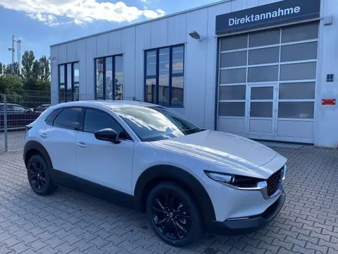 Annonce MAZDA CX-30 Essence 2024 d'occasion 