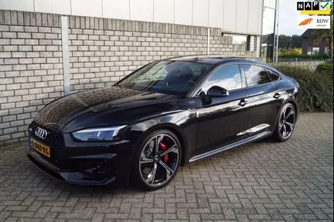 Used AUDI RS5 Petrol 2019 Ad 