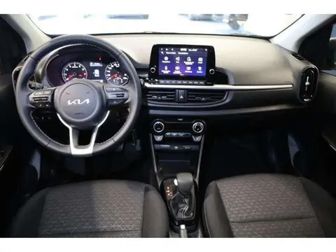 Used KIA PICANTO Petrol 2023 Ad 