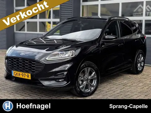 Used FORD KUGA Hybrid 2023 Ad 